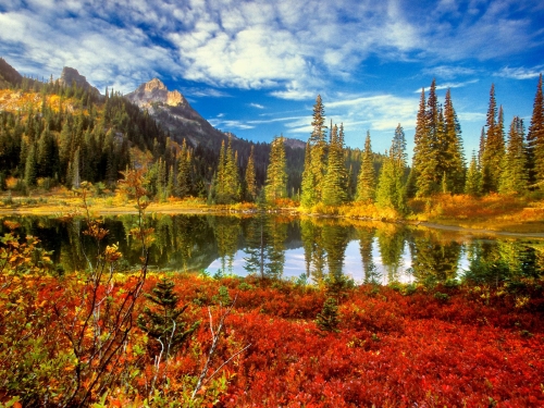 Beautifull Images of Nature (99 wallpapers)