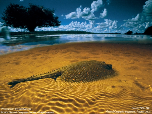 National Geographic Wallpapers (109 wallpapers)