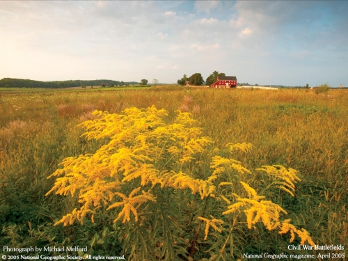 National Geographic Wallpapers (109 wallpapers)