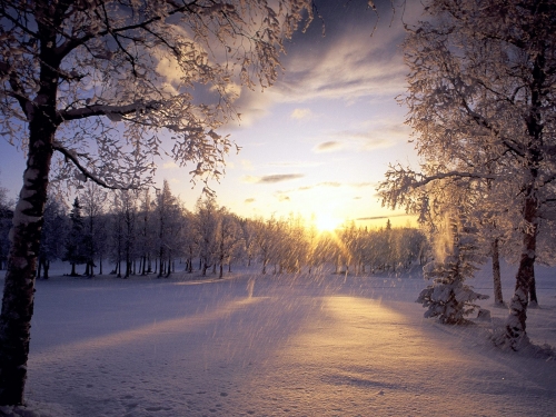 Winter Wallpapers (70 wallpapers)