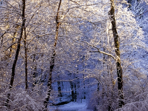 Winter Wallpapers (70 wallpapers)