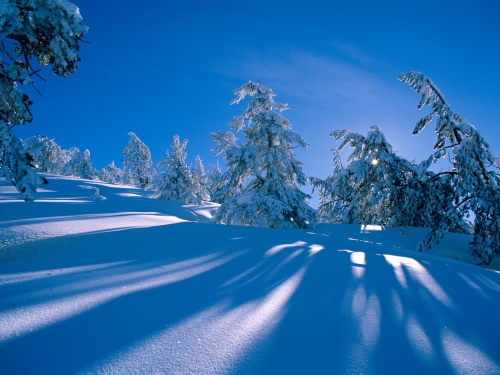 Winter Wallpapers (70 wallpapers)