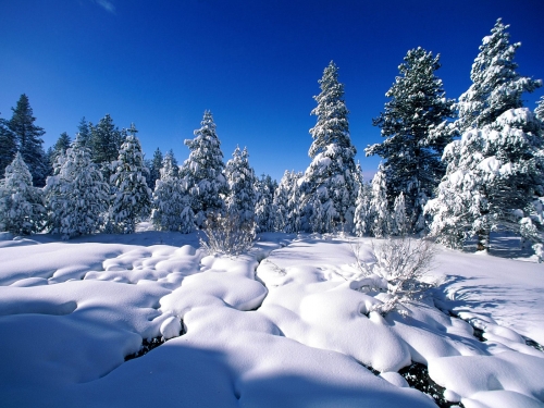 Winter Wallpapers (70 wallpapers)