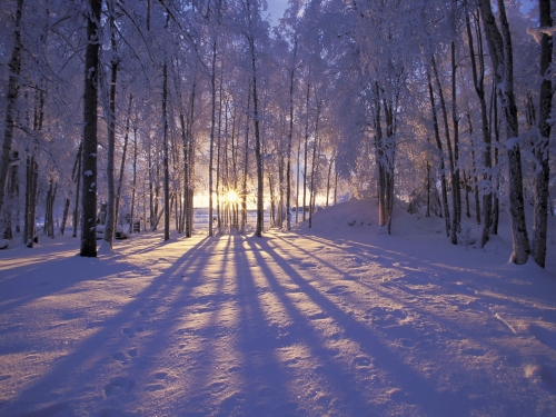 Winter Wallpapers (70 wallpapers)