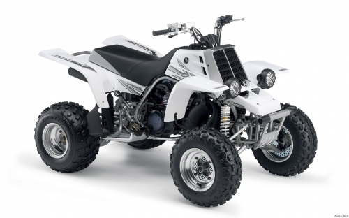 ATVs (79 wallpapers)