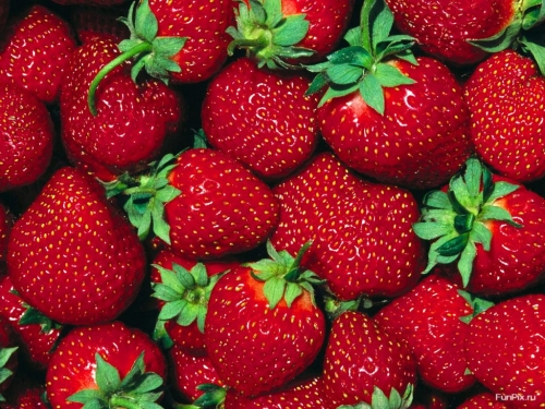 Strawberry Wallpapers Pack (174 wallpapers)