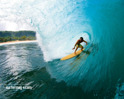 New Surfer Wallpapers (46 wallpapers)