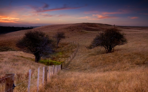 Colorful nature wallpaper (87 wallpapers)