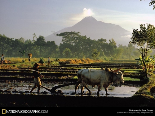 Amazing National Geographic Wallpapers (100 wallpapers)