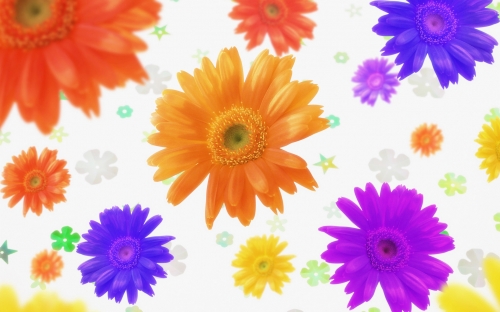 Floral Backgrounds (80 wallpapers)