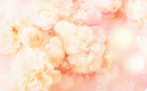 Floral Backgrounds (80 wallpapers)