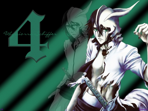 Bleach Ultimate Wallpapers Collection (110 wallpapers)