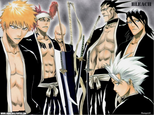 Bleach Ultimate Wallpapers Collection (110 wallpapers)