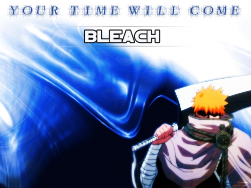 Bleach Ultimate Wallpapers Collection (110 wallpapers)