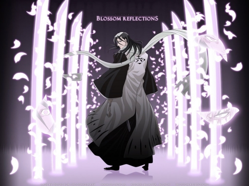 Bleach Ultimate Wallpapers Collection (110 wallpapers)