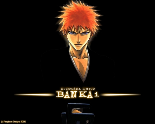 Bleach Ultimate Wallpapers Collection (110 wallpapers)