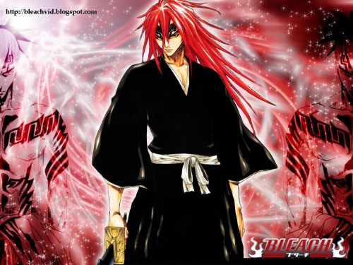 Bleach Ultimate Wallpapers Collection (110 wallpapers)