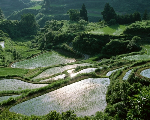 Wallpapers - Nature of Japan Pack [HQ] (50 wallpapers)