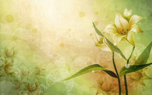 Vector Art Flowers Wallpapers  (40 wallpapers)