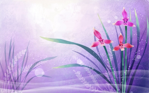 Vector Art Flowers Wallpapers  (40 wallpapers)