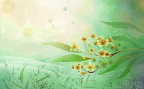 Vector Art Flowers Wallpapers  (40 wallpapers)