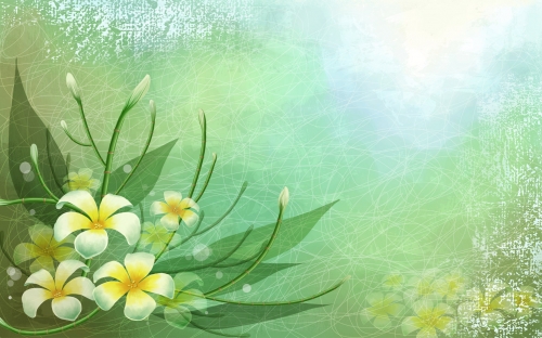 Vector Art Flowers Wallpapers  (40 wallpapers)