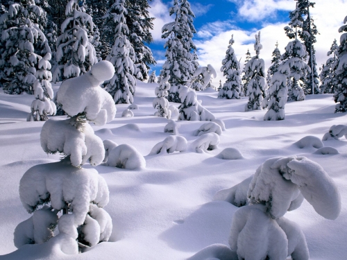 Amazing Snow and Arctic Landscapes Wallpapers (220 wallpapers)