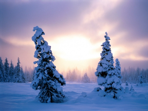 Amazing Snow and Arctic Landscapes Wallpapers (220 wallpapers)