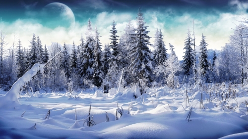 Winter Widescreen Wallpapers pack (28 wallpapers)