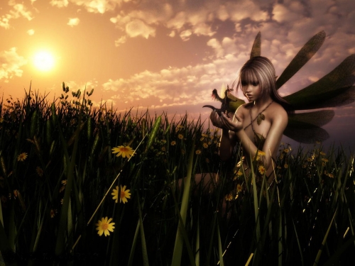 Beautiful fairies (50 wallpapers)