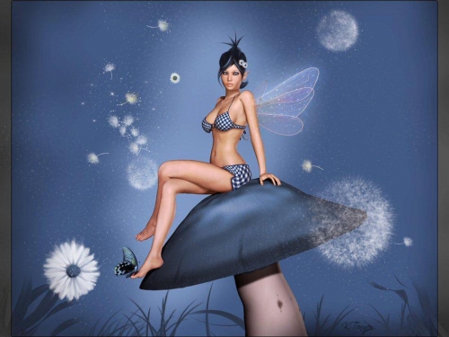 Beautiful fairies (50 wallpapers)