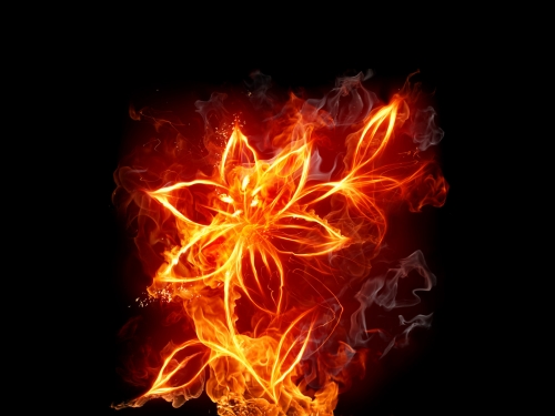 Fire Wallpaper (50 wallpapers)