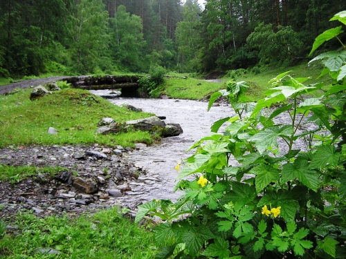 Beauty of Altai Mountains (80 wallpapers)