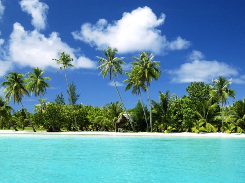 Tropical paradise (53 wallpapers)