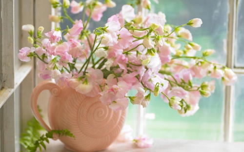 Flowers WideScreen Wallpapers 13 (80 wallpapers)