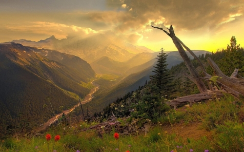 Nature WideScreen Wallpapers 59 (40 wallpapers)