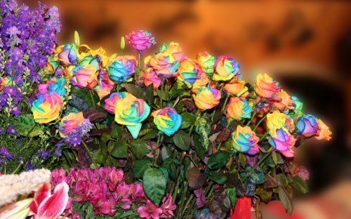 Flowers WideScreen Wallpapers 14 (90 wallpapers)