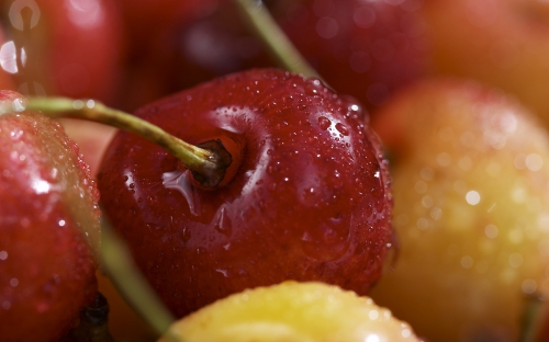 Ripe and juicy fruits (40 wallpapers)