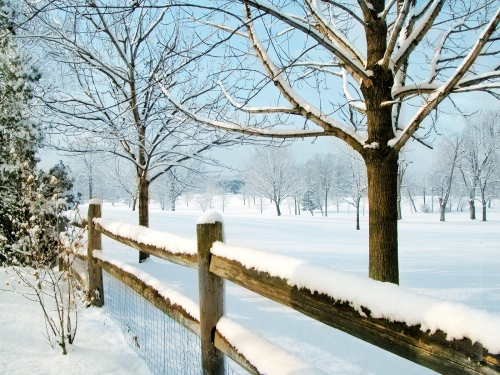 Beautiful Winter Wallpapers (270 wallpapers)