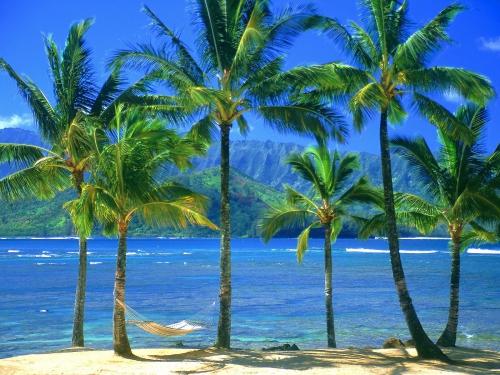 Wallpapers - Tropical Paradise Pack#3 (97 wallpapers)