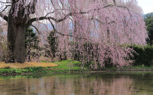 Beautiful Japan Views HD Wallpapers (55 wallpapers)