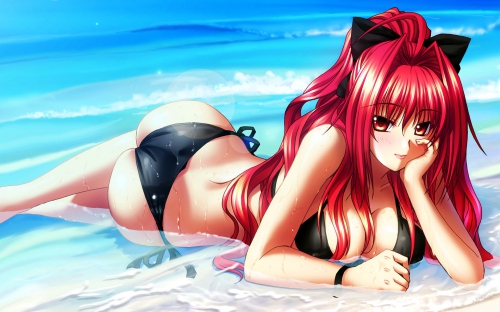 Anime Girls 2010 HD Wallpapers (110 wallpapers)