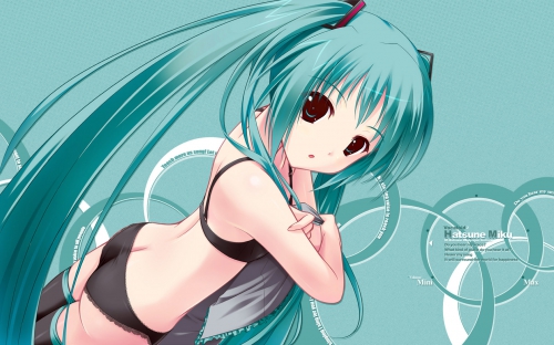 Amazing Hatsune Anime Wallpapers (80 wallpapers)