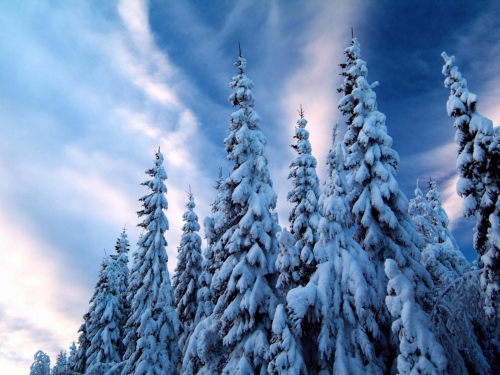 Beautiful Winter Wallpapers (155 wallpapers)