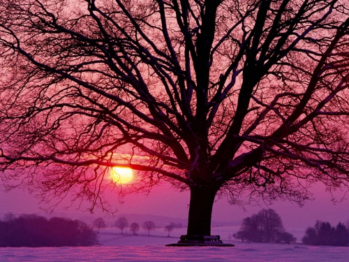 Beautiful Winter Wallpapers (155 wallpapers)