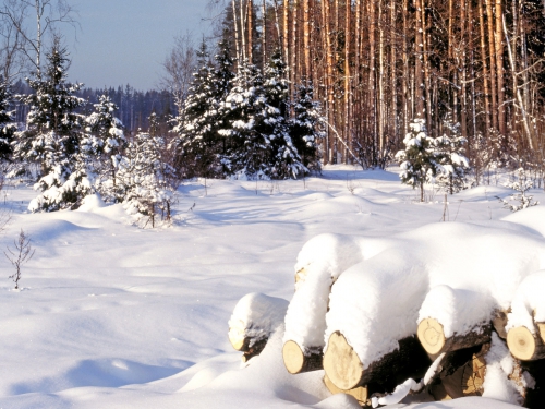 Beautiful Winter Wallpapers (155 wallpapers)