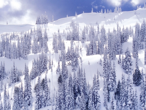 Beautiful Winter Wallpapers (155 wallpapers)