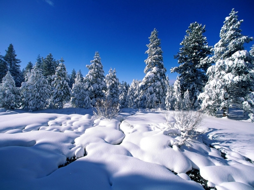 Beautiful Winter Wallpapers (155 wallpapers)