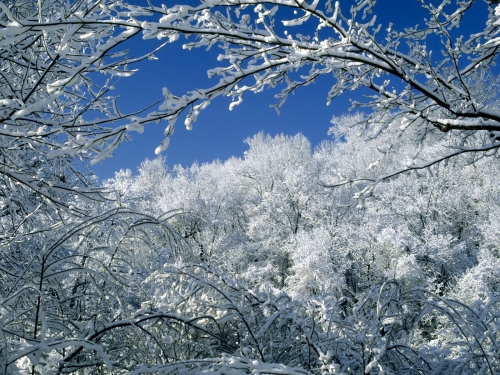 Beautiful Winter Wallpapers (155 wallpapers)