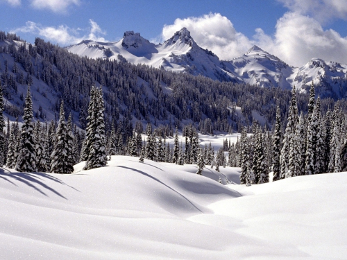 Beautiful Winter Wallpapers (155 wallpapers)